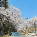 1년간 캐스퍼를 타본 리얼 후기 🚙 예쁜 외모에 반해 샀지만… 현실은 어땠을까?