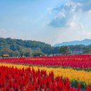 2025년 10월 군산뫼무리산악회 정기산행(585차) 한탄강 주상절리길 이미지