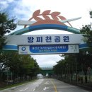 수산교 이미지