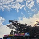 레포츠 | 태안 안면도 레포츠 ATV 고카트 추천 | 와이키키레포츠 후기