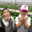 큰빛어린이집 이미지