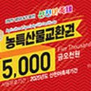 화천산천어가공 티스토리