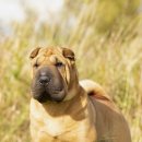 우하농장 이미지