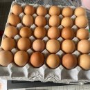 영광군푸드뱅크 이미지