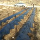 덕현목장 이미지