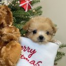 대홍약국 이미지