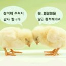 3월14일(화요일)백봉산 산행공지.^*^~~~ 이미지