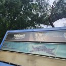 뽀시래기 | 덕·메가 없어도 재미있었던 엑디즈 뽀시래기들 썸머콘 중콘 후기