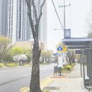 버스정류장(쌍암공원) 이미지