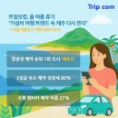 제주다시
