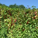 가현농장 이미지