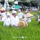 용전2로 이미지