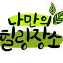 보니따헤어살롱 네이버블로그