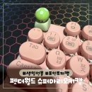 마리오펫 | 너무 귀여운 생일선물: 펫더월드 포인트키캡