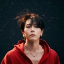 더케이야생화 - 용인시 처인구 전궁로16번길 41 | 박효신 콘서트 2026 후기 LIVE A&E 첫콘 둘콘 현장 리뷰