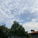 장천소한마리 이미지