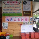 팽성남산4길 이미지