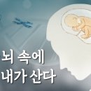 [하나님의교회 어머니 하나님] 어머니 뇌 속에 새겨진 존재 이미지