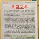 빅포 이미지