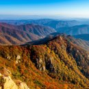 김동수 | 2025 내장산 단풍 완벽정복: 절정 시기, 축제 정보, 숨겨진 명소까지!