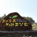 붉은오름자연휴양림 이미지