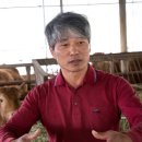박씨축산 이미지