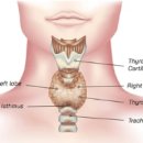 심은희내과의원 이미지