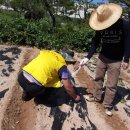 보라리농장 이미지