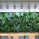 사랑채작은도서관 이미지