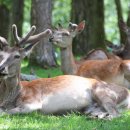 한돌한의원 이미지