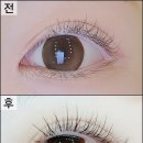 솔라리움 | 부천 속눈썹 초승달 펌포인트연장 후기 주차 편한 부천 시청역 속눈썹 눈매 맞춤 만족도 최상