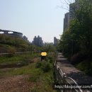 풍수부동산중개사무소 이미지