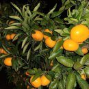 하례광장로 이미지