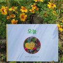 품속농장 이미지