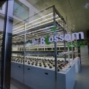 강화식물병원 이미지