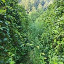 덕안농장 이미지