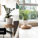 사진과포토샵 이미지