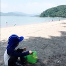 오션트리민박