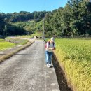 서천 이곡의 묘 이미지