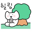 문앤스타캠핑장 이미지