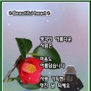 AI-Beautiful heart 이미지