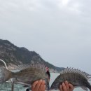 황 이미지