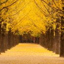 옥천향토전시관 이미지