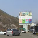 창녕 부곡온천 가족탕 야외수영장 있는 크라운호텔 숙박 후기