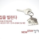 스테이체리 이미지