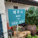 제주도치상회 이미지