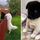 신기한공인중개사사무소 이미지