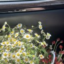 숙이네농장 | [왓츠인마웨딩]ep.8 대망의 웨딩촬영 (by 이디오스냅, 연둣빛살롱)