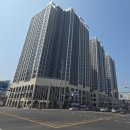 안양초교_서 이미지