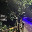 땅끝편백펜션민박 이미지